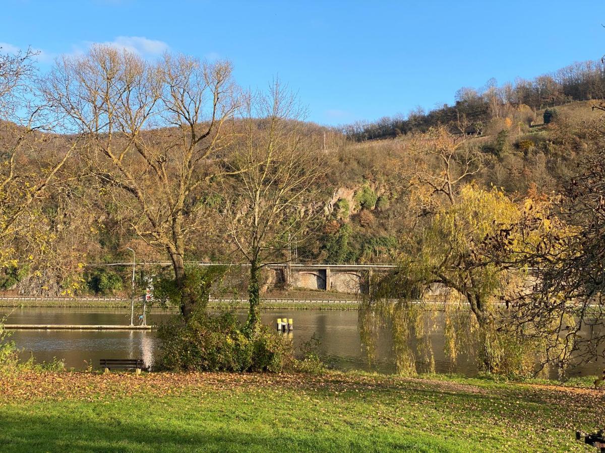Direkter Moselblick 126m² großer Altbau und Terrasse Sankt Aldegund Exterior foto